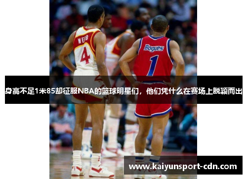 身高不足1米85却征服NBA的篮球明星们，他们凭什么在赛场上脱颖而出